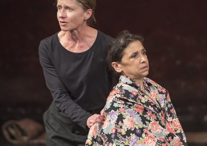 peter brook metateatro e vita